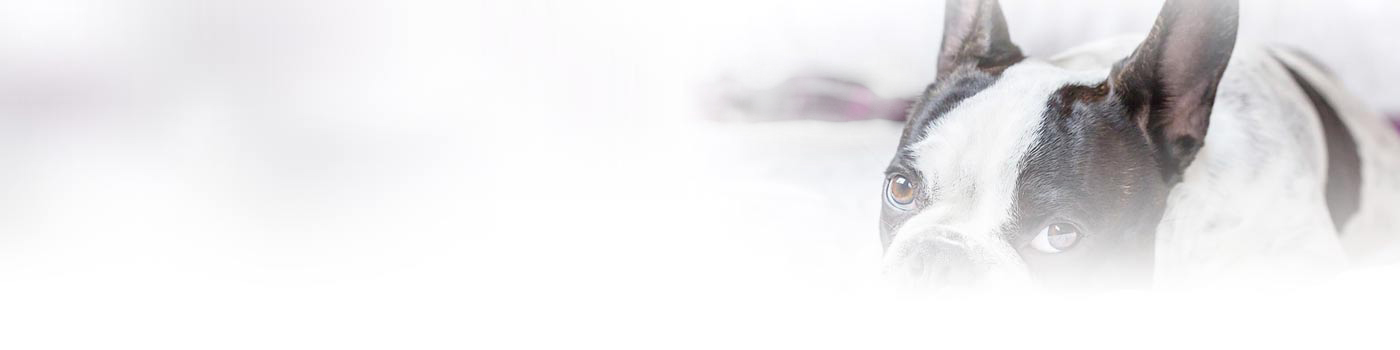 Сера Для Животных Инструкция