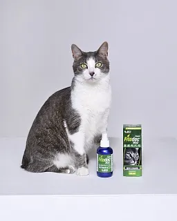 Fitodoc Max спрей для кошек: описание, применение, купить по цене производителя